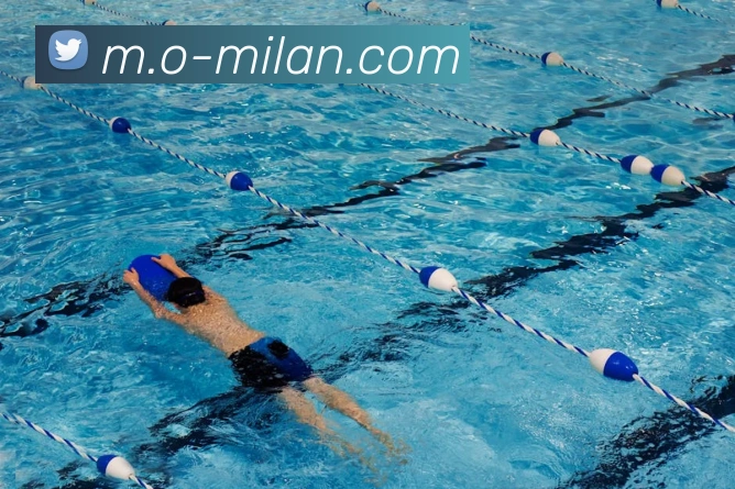 米兰体育平台生态图